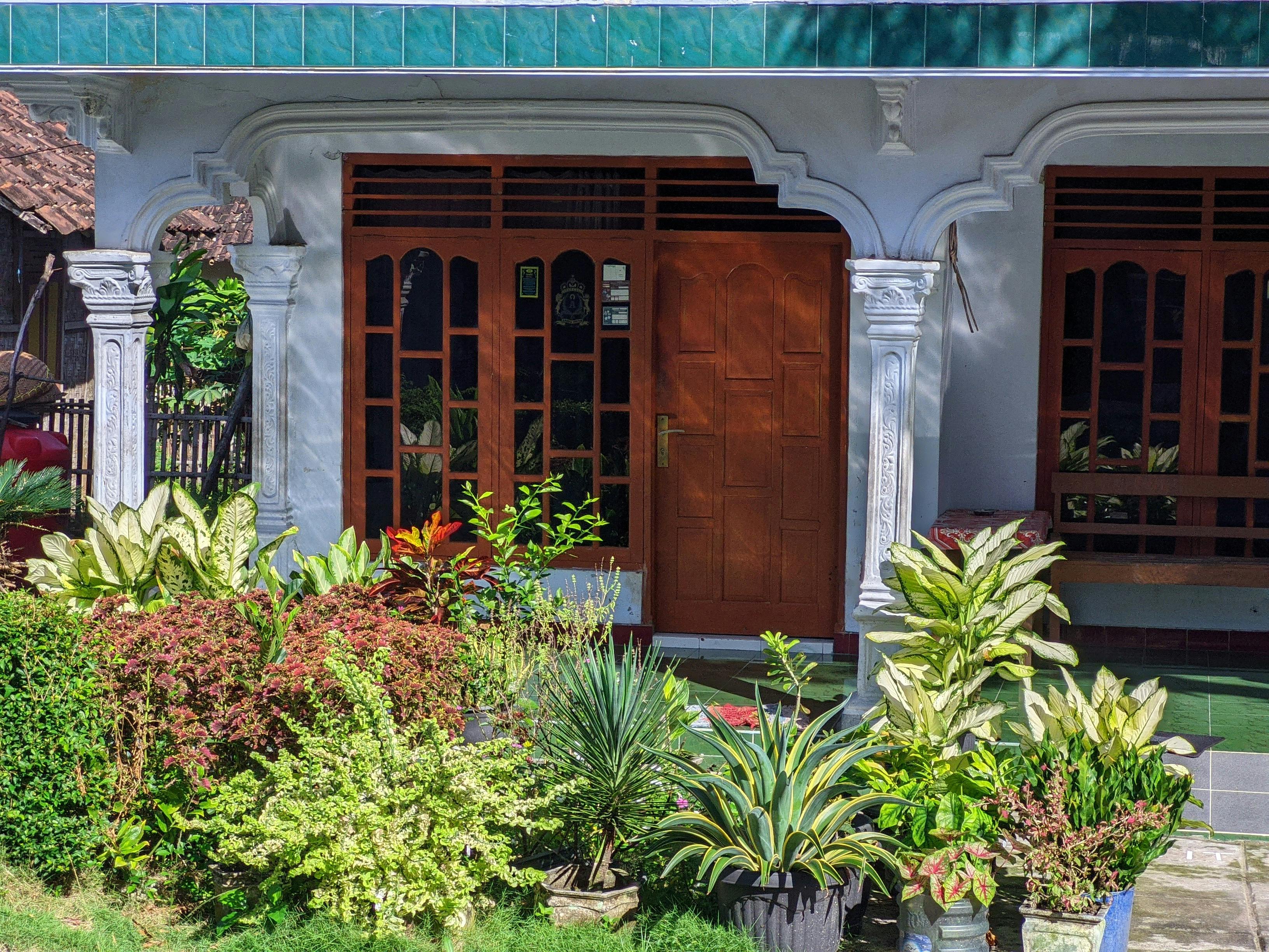 Home & Garden Reviews: Best Smart Devices for Eco-Friendly Homes