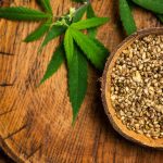 Weed in Madrid | Safe Recommendations by Clubs Cannabis Madrid