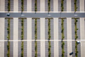 pexels-stephanthem-753865 (1)