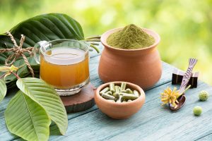 Kratom or Mitragyna speciosa on natural background.