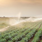 Reliable Expert Drainage Services in Springtown , TX for Your Property