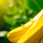 Captivating close-up of a nano banana showcasing its vibrant texture against a fresh green backdrop.