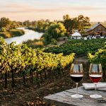 How Chenin Blanc Pairs Perfectly with Food